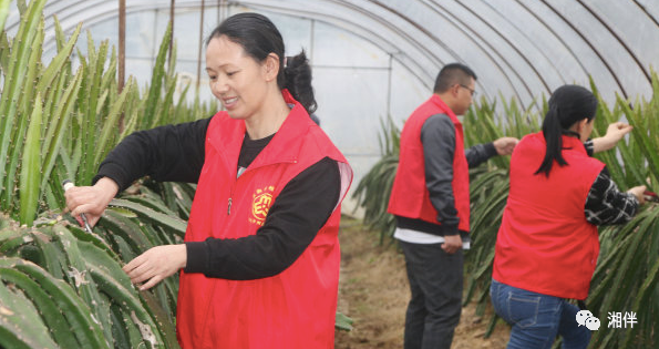 1620869798369005.png image.png