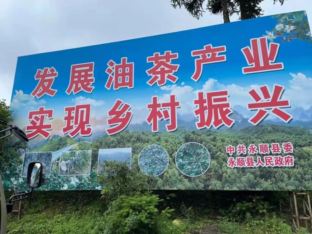 1625623952509578.jpg 103.jpg