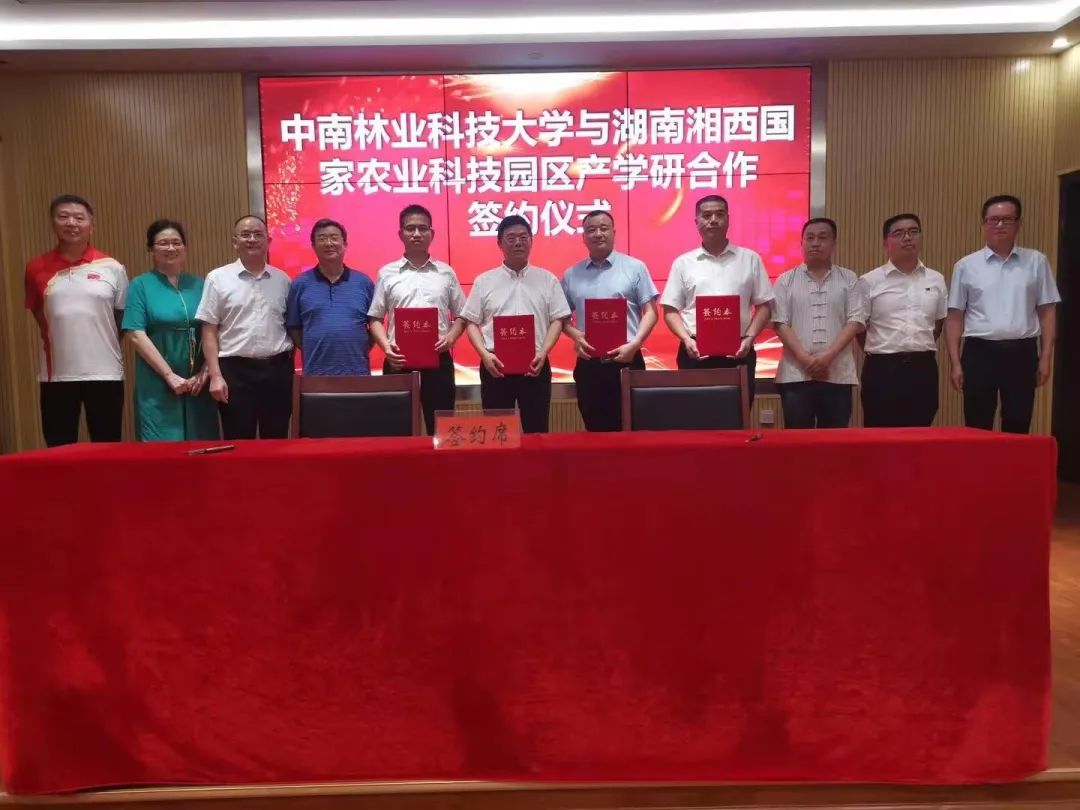 1625623967769941.jpg 104.jpg