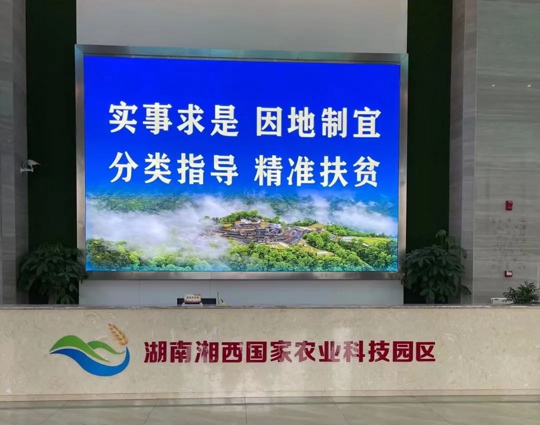 1625623980503071.jpg 105.jpg